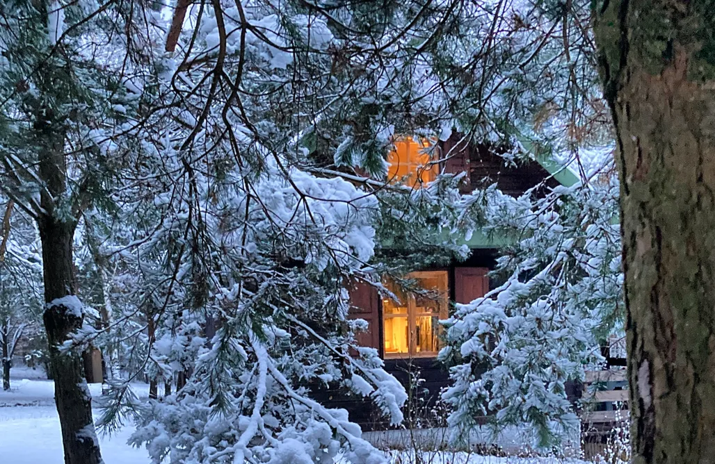 AlohaCamp Flying Moose/Latający Łoś 1