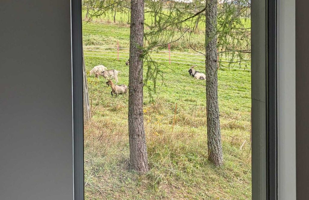 AlohaCamp Apartament Premium Grand nr 6 (1-sze piętro) 4