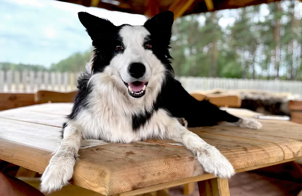 noclegi AlohaCamp Farma Puchałowo 4