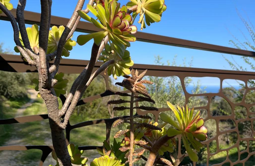 noclegi AlohaCamp Eco-Gite de Carbonaccio 4