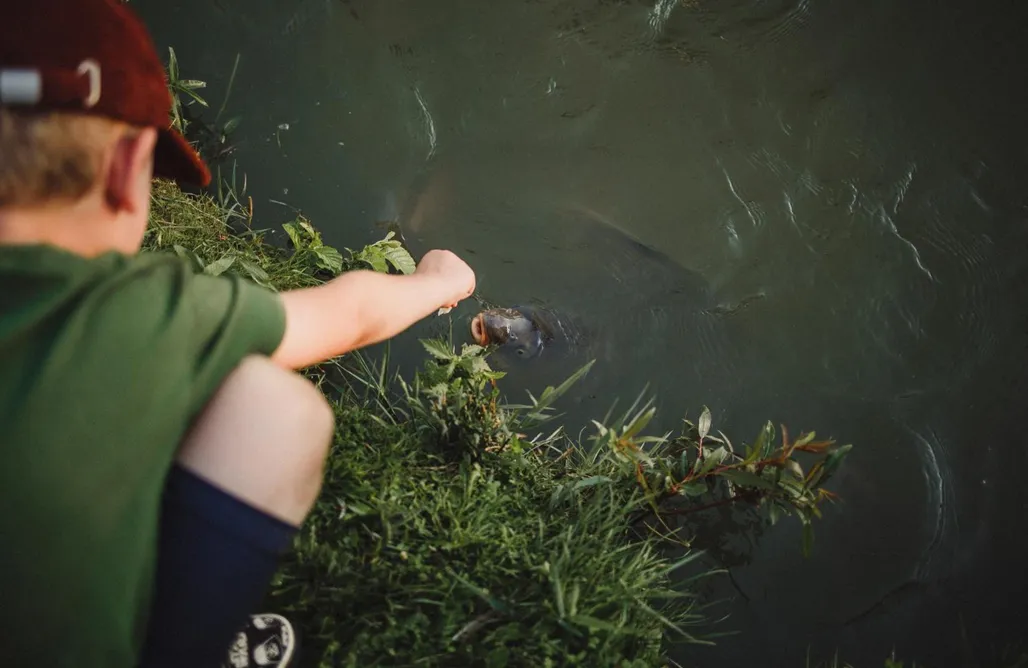 AlohaCamp Dom na wyłączność 1