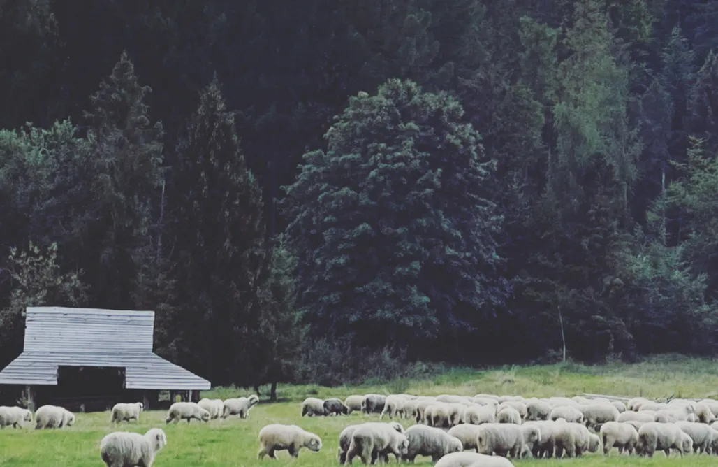 Stryszawa noclegi Babia Raj  1