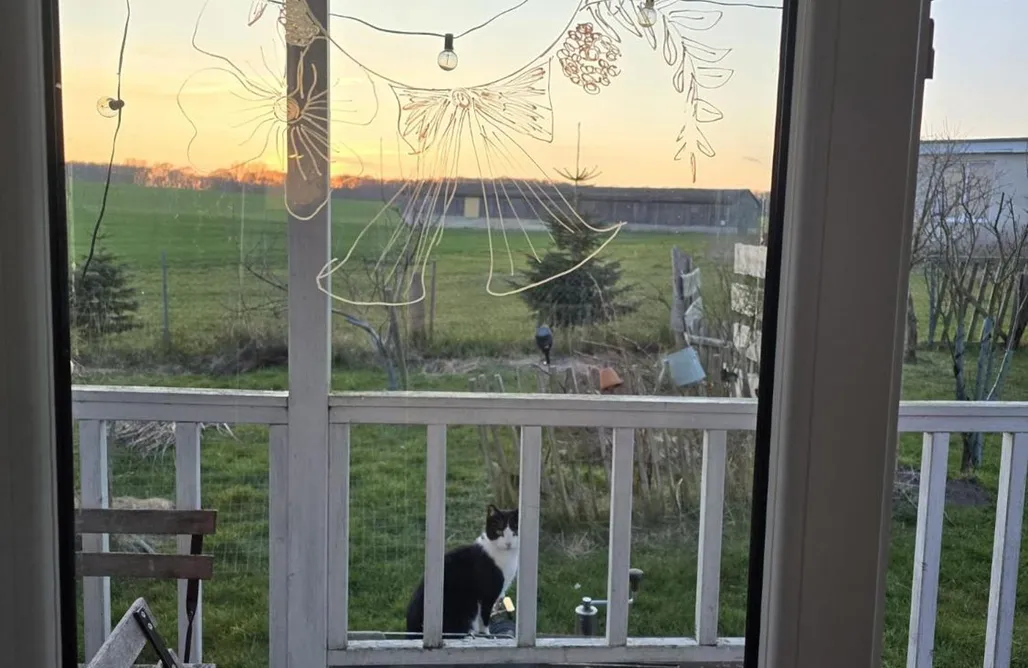 Unterkunft AlohaCamp Tiny House – „Dat kleene House“ 4