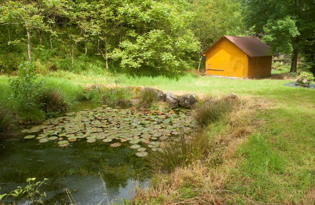 alojamientos AlohaCamp Cabañas del rio molinos Sociedad Limitada 1