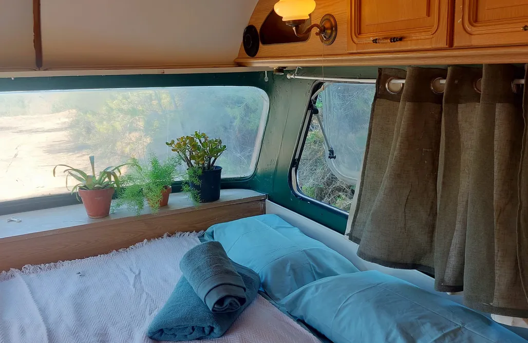 AlohaCamp In the Pines 2