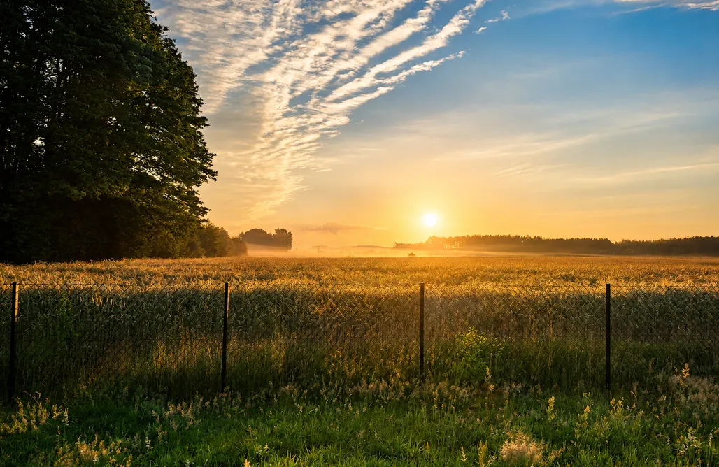 Unterkunft AlohaCamp Zajączki nad Narwią 4