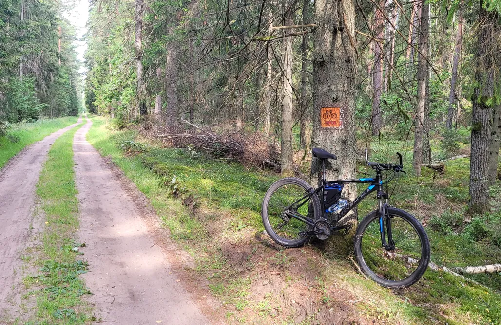 AlohaCamp Stacja Płaska 1
