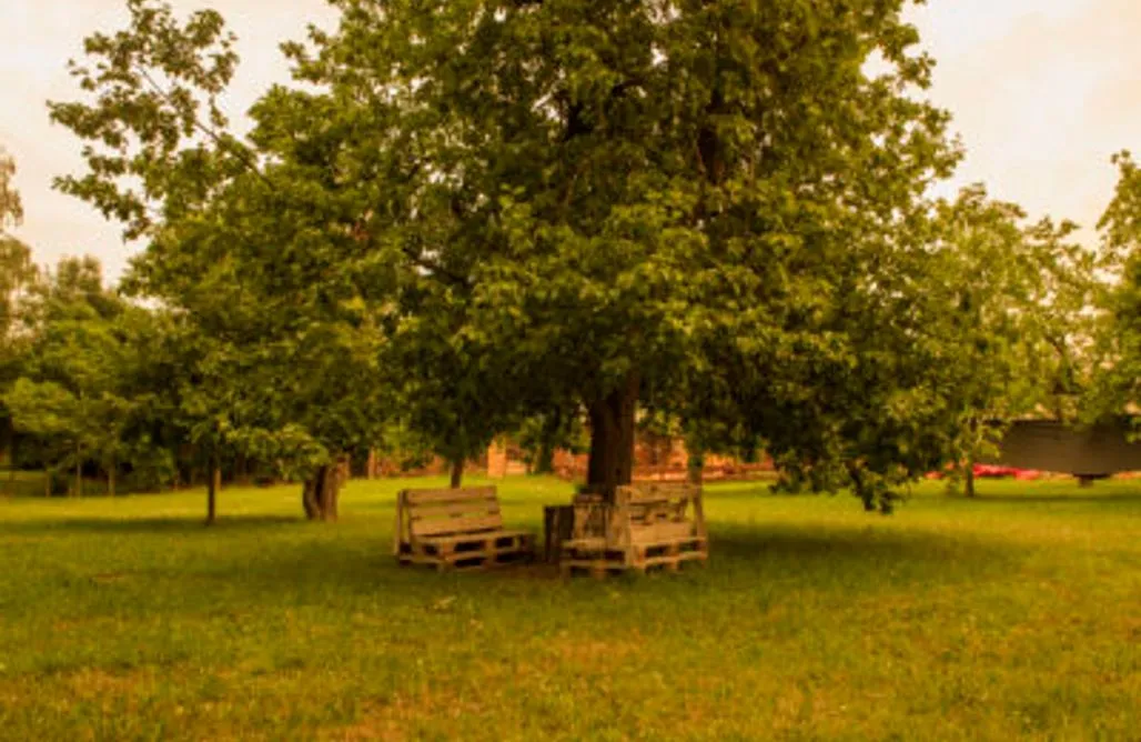 AlohaCamp accommodation Miejsce namiotowe - Hamak Nad Wkrą 2