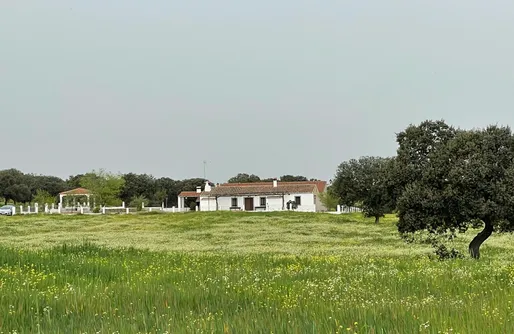 Imagen de El Jaral