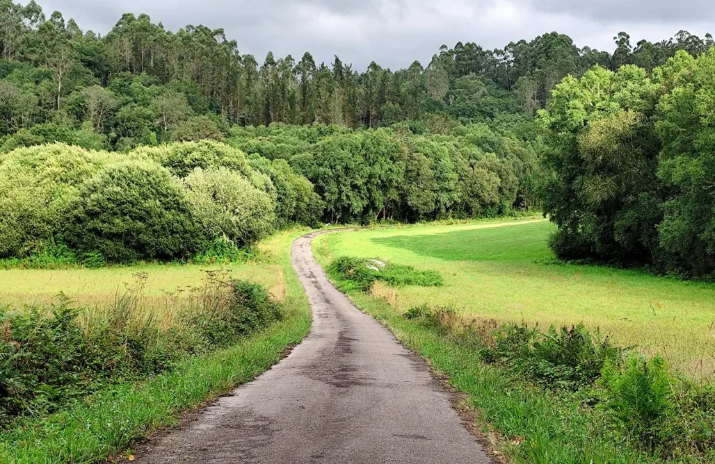 alojamientos AlohaCamp O Freixo 5
