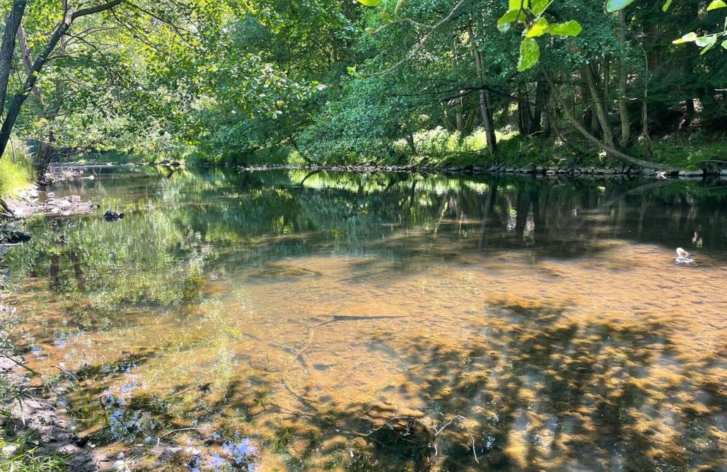 noclegi AlohaCamp Quiet Anomaly Glamping Forest & Wellness Retreat Adults Only 1