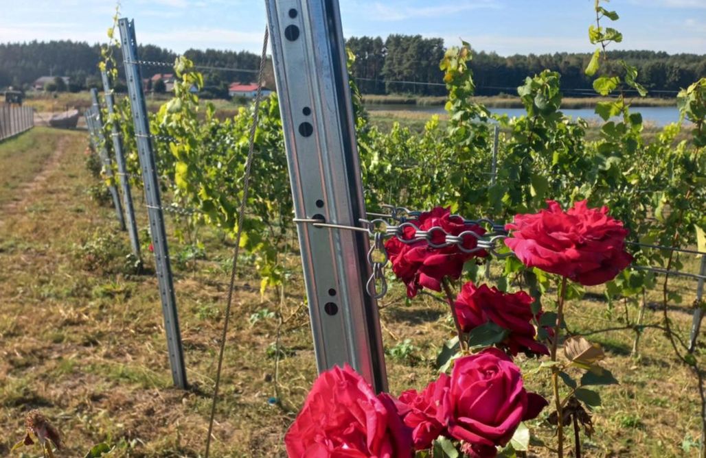 AlohaCamp accommodation Port Stobno - Domki przy Winnicy 1