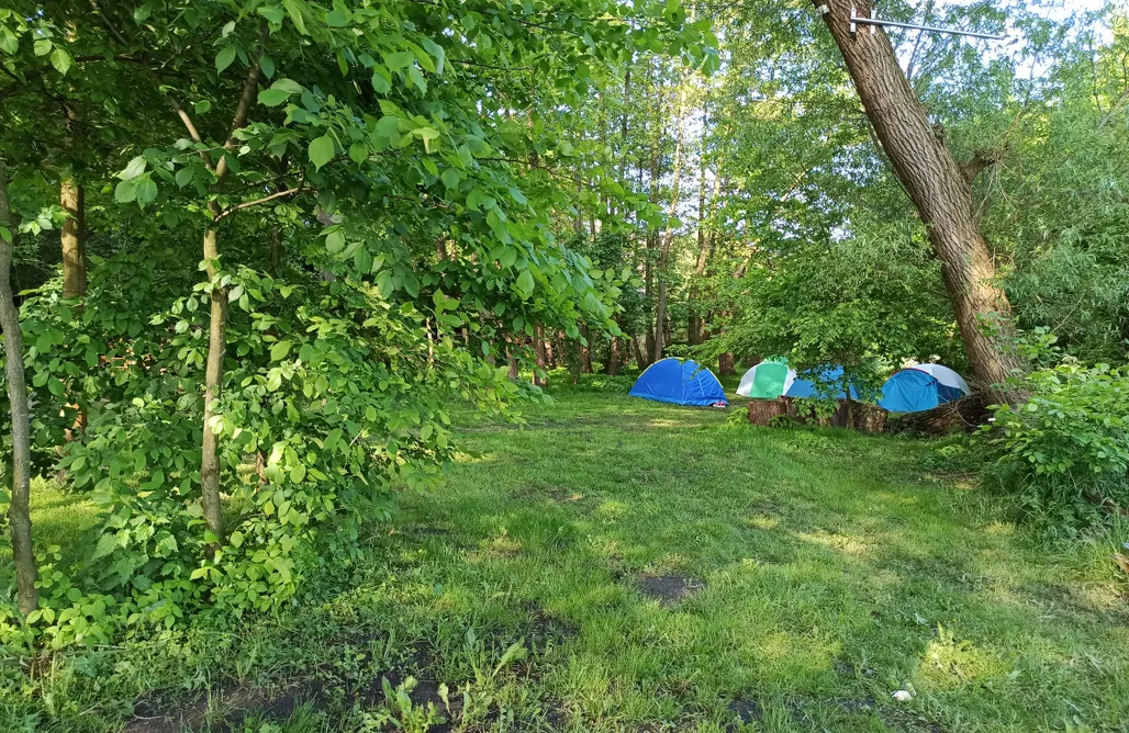 Rezerwat Przyrody Meteoryt Morasko Miejsce namiotowe - Przystań Kowale 1