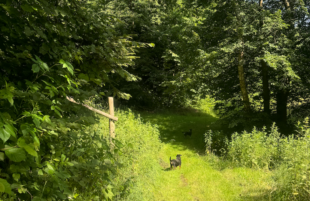 Agroturystyka Zwierzyniec Zakątek Transformacji - Gospodarstwo w Harmonii z Naturą 1