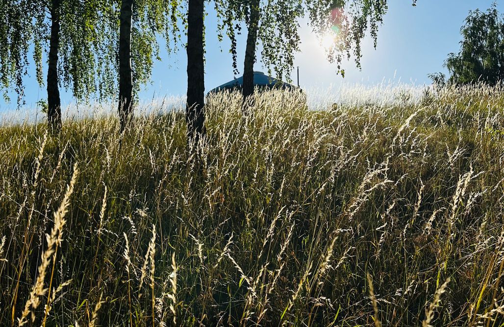 AlohaCamp Dzika Łąka 1