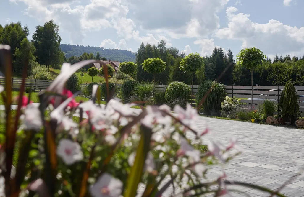 noclegi AlohaCamp Lawendowy Zakręt 5