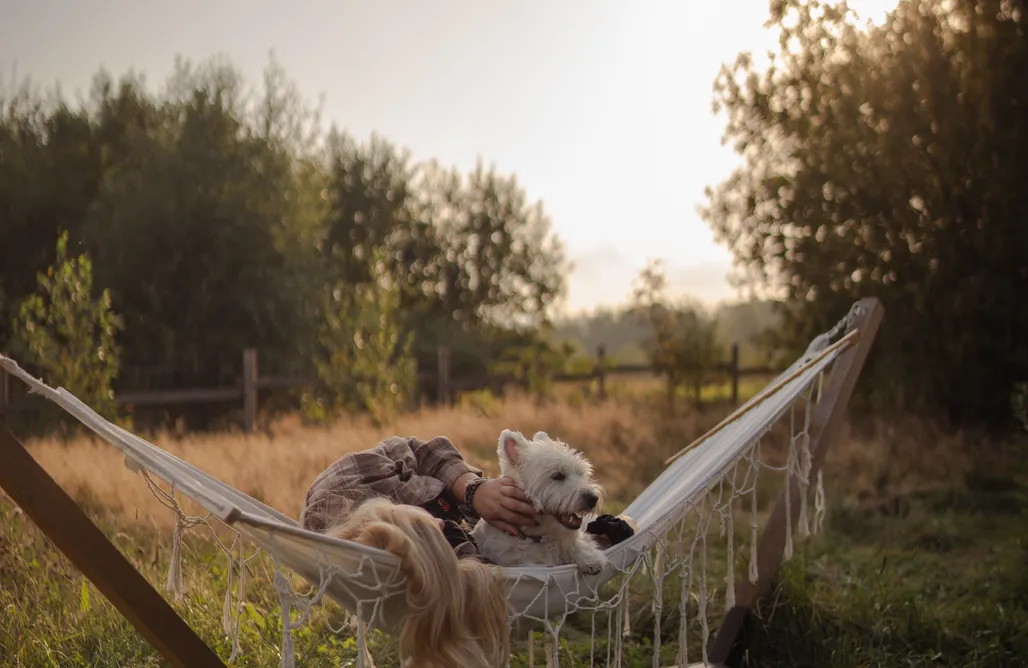 alojamientos AlohaCamp Popielato - domki z balią i kominkiem w Izerach 1