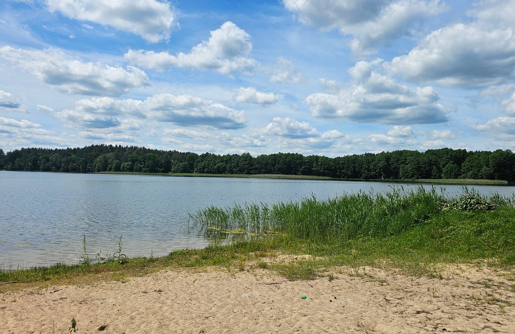Hébergement AlohaCamp Oasis Jaskier chalet au bord du lac Kalwa en Mazurie 4