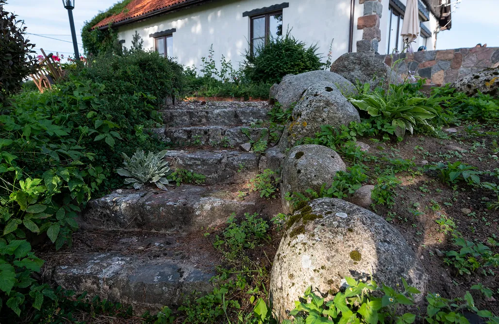 AlohaCamp Willa Dom 1