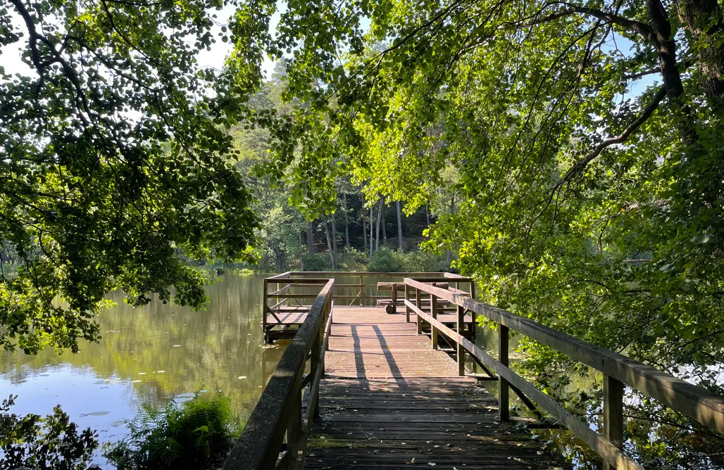 alojamientos AlohaCamp Bory Za Płotem 1
