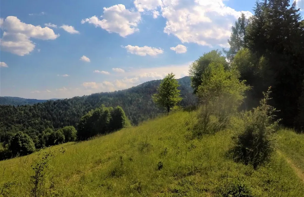 noclegi AlohaCamp Dom z Widokiem w Beskidzie Sądeckim 1