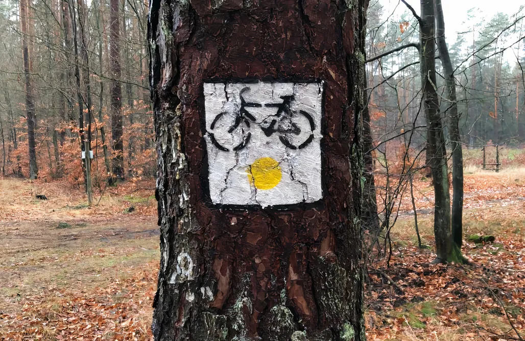 noclegi AlohaCamp Chata przy drodze 1