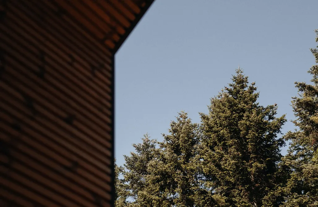 AlohaCamp Honey House Wierchy 1 1