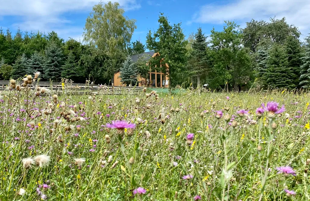 noclegi AlohaCamp Zalesie Łany 5