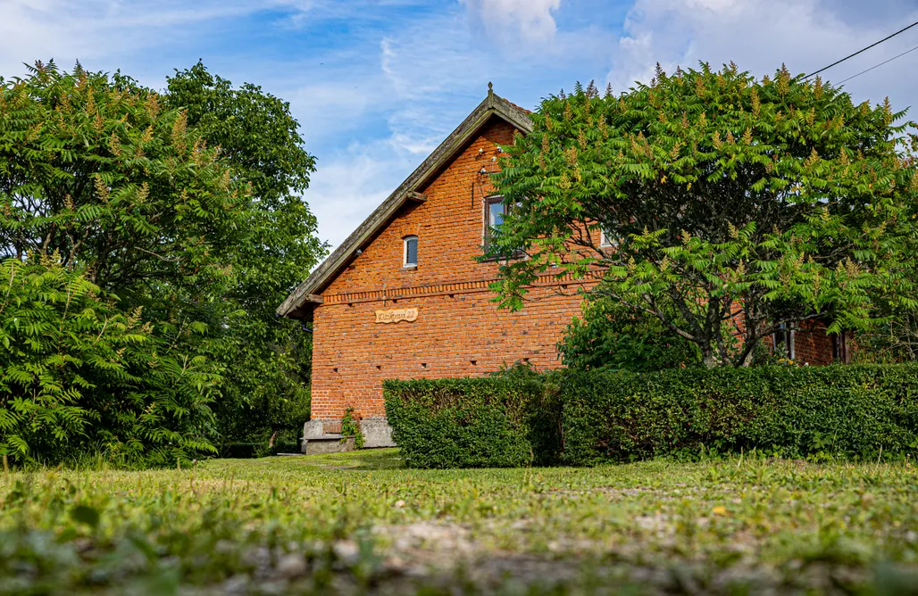 Leśne Serce AlohaCamp