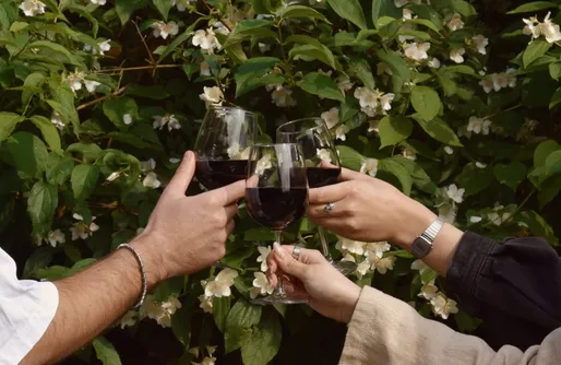 Zdjęcie obiektu Miejsce kamperowe i namiotowe - JBM Winnica Bugaj