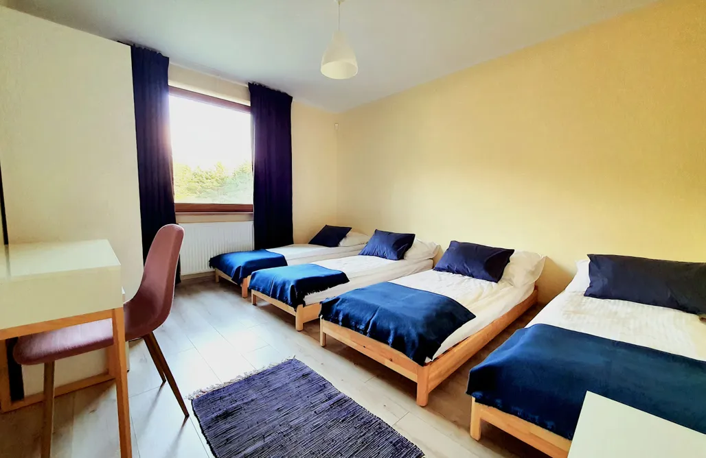 AlohaCamp Cały obiekt 4