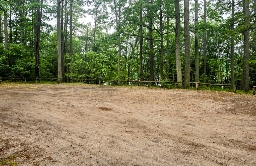 AlohaCamp Miejsce na kampera na leśnym parkingu (bez prądu) 3