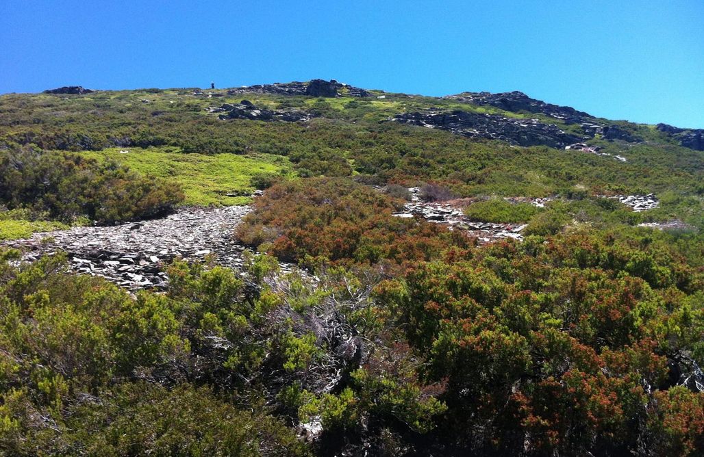 alojamientos AlohaCamp Hotel rural La Encantada Riaza 1