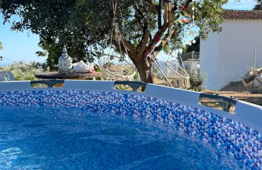 Imagen de Bosque Raíces