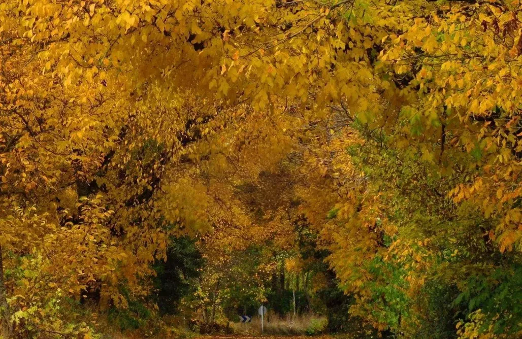 alojamientos AlohaCamp El Duende del Omaña 1