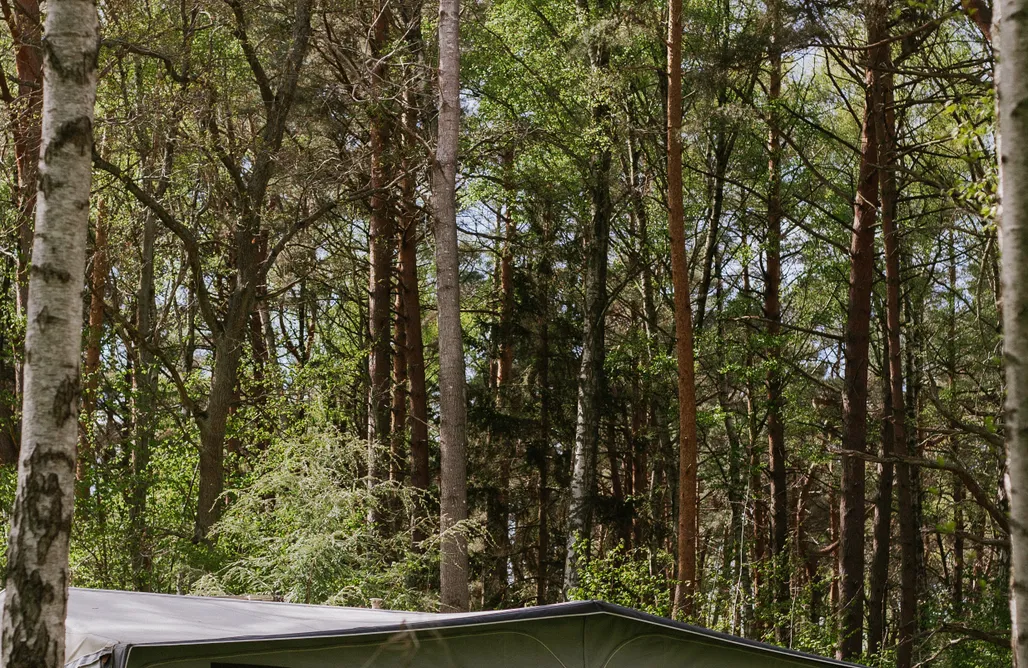 Karwieńskie Błoto Drugie noclegi Szumi las, szumi morze 3