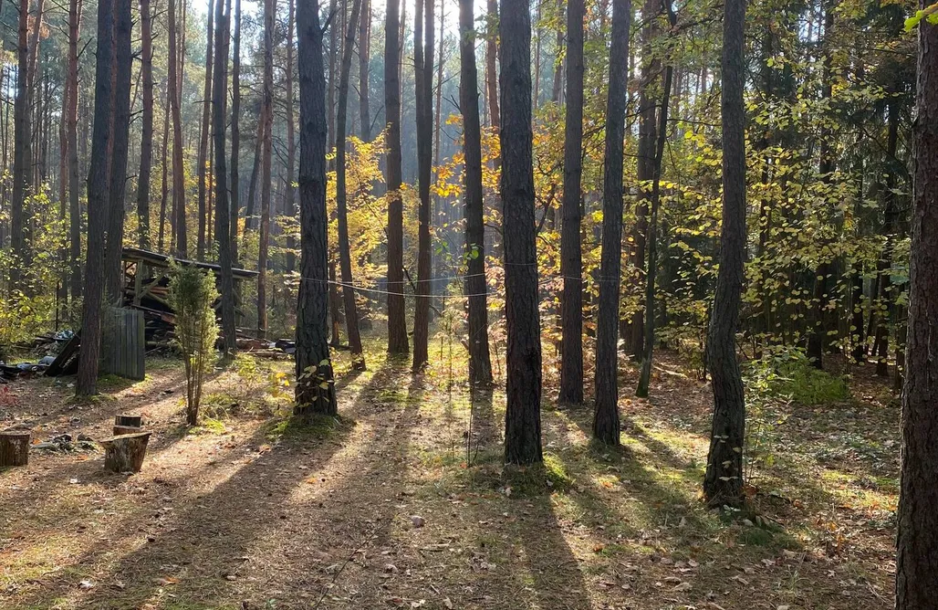 Glamping Podlaskie Przytulny domek w lesie blisko rzeki 3
