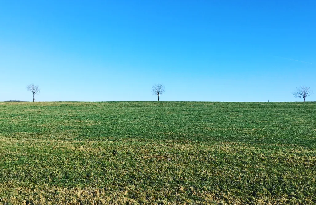 Unterkunft AlohaCamp Eifelcottage Zaunkönig 1