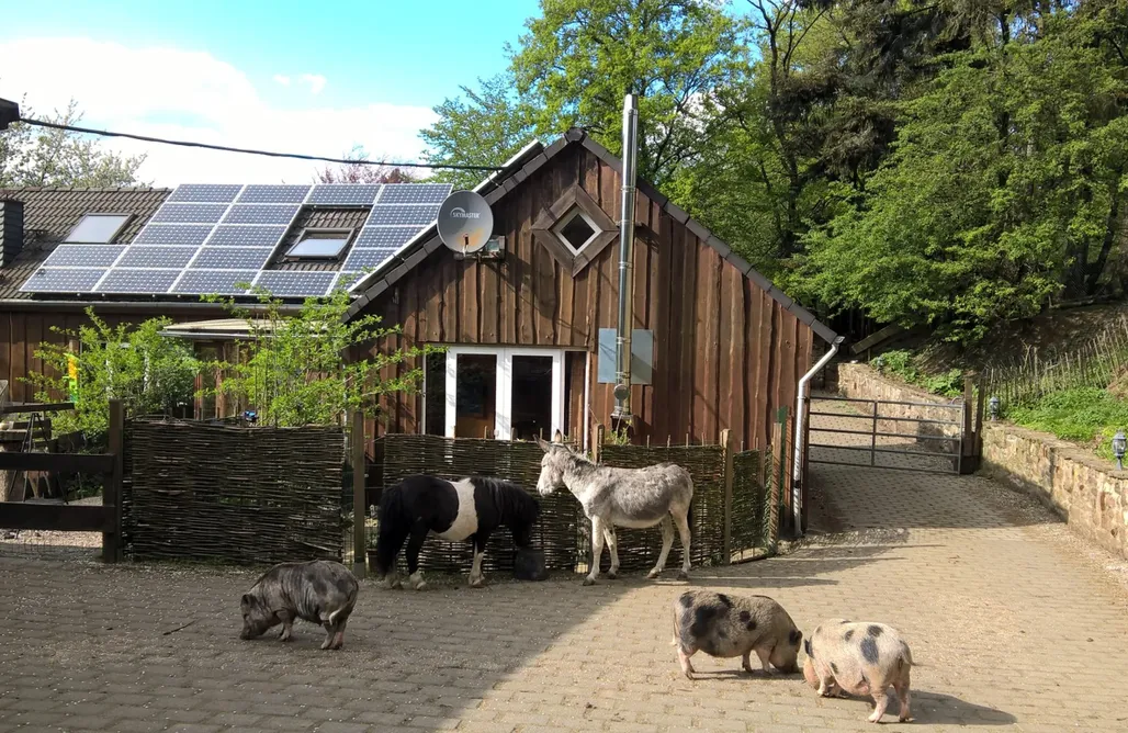 Urlaub mit Kindern Utes Funny Farm Ferienhaus 2