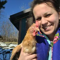 Anna ospitante Zielone Wzgórze 393