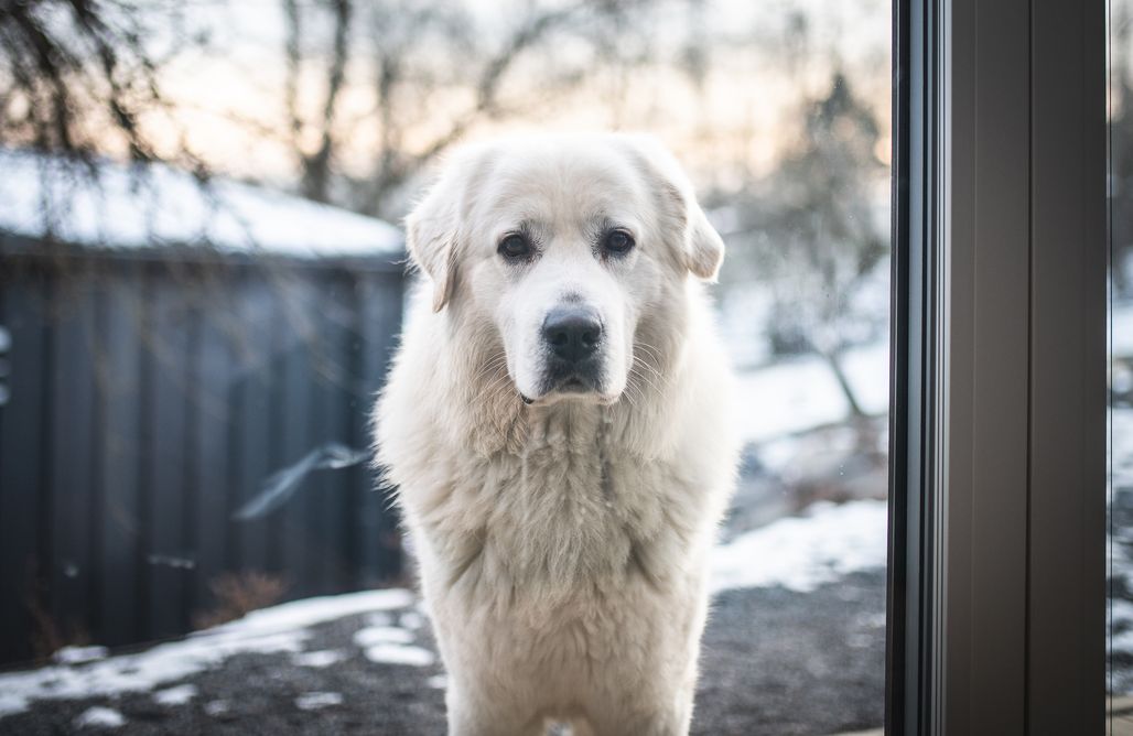 AlohaCamp Rubin z prywatnym jacuzzi  4