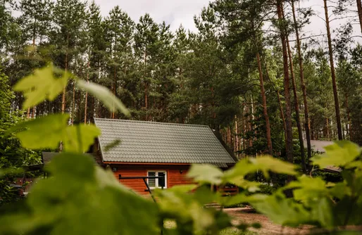Zdjęcie obiektu Chata przy lesie - sauna i balia