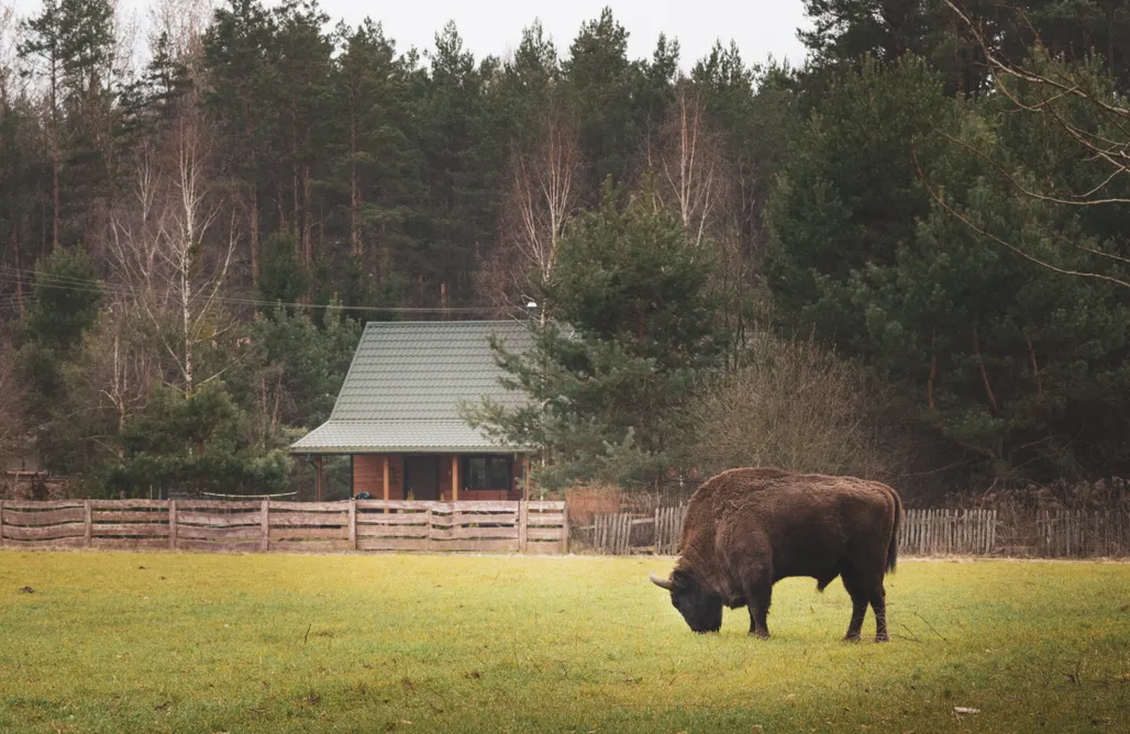 Lesní 21 - Dům Sever AlohaCamp
