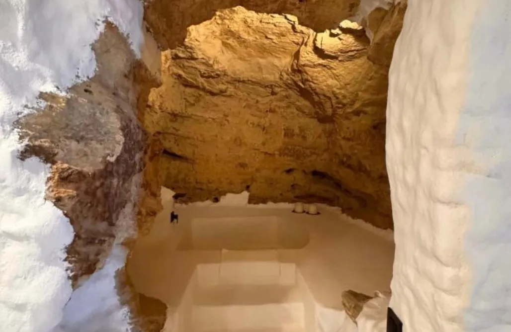 AlohaCamp Verdolaga 3