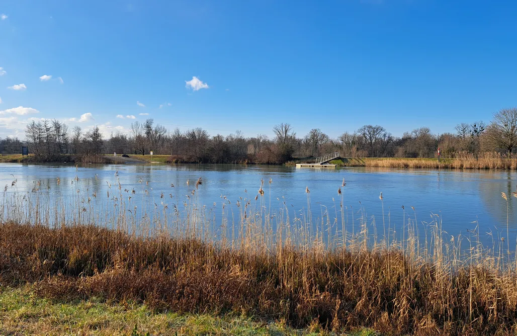 Alloggio AlohaCamp Gite Les Sables 1