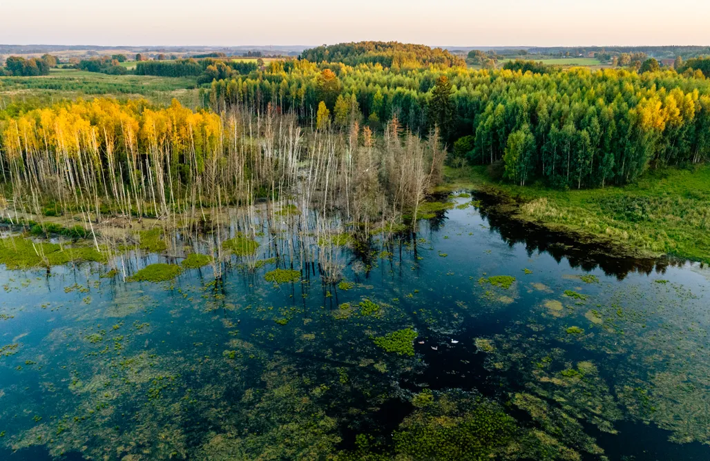AlohaCamp Pokój Premium z garderobą 1