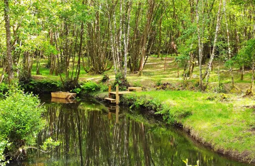 Imagen de Cabanas das Chousas