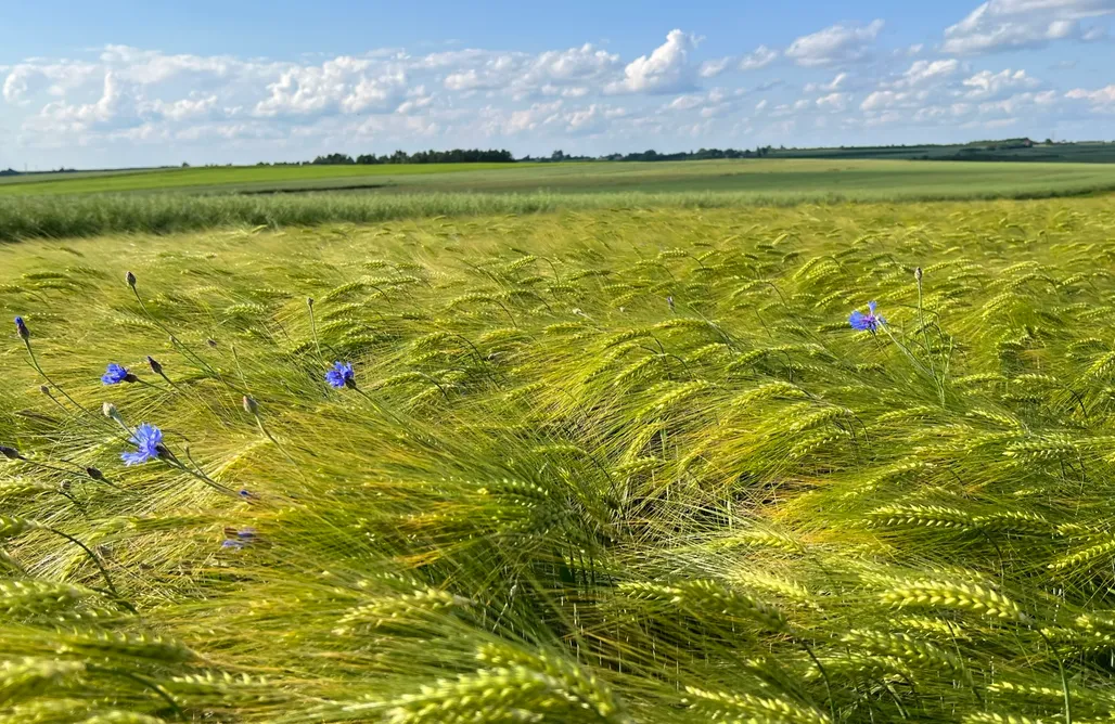 Agroturystyka Świętokrzyskie W Kręgu Natury 1
