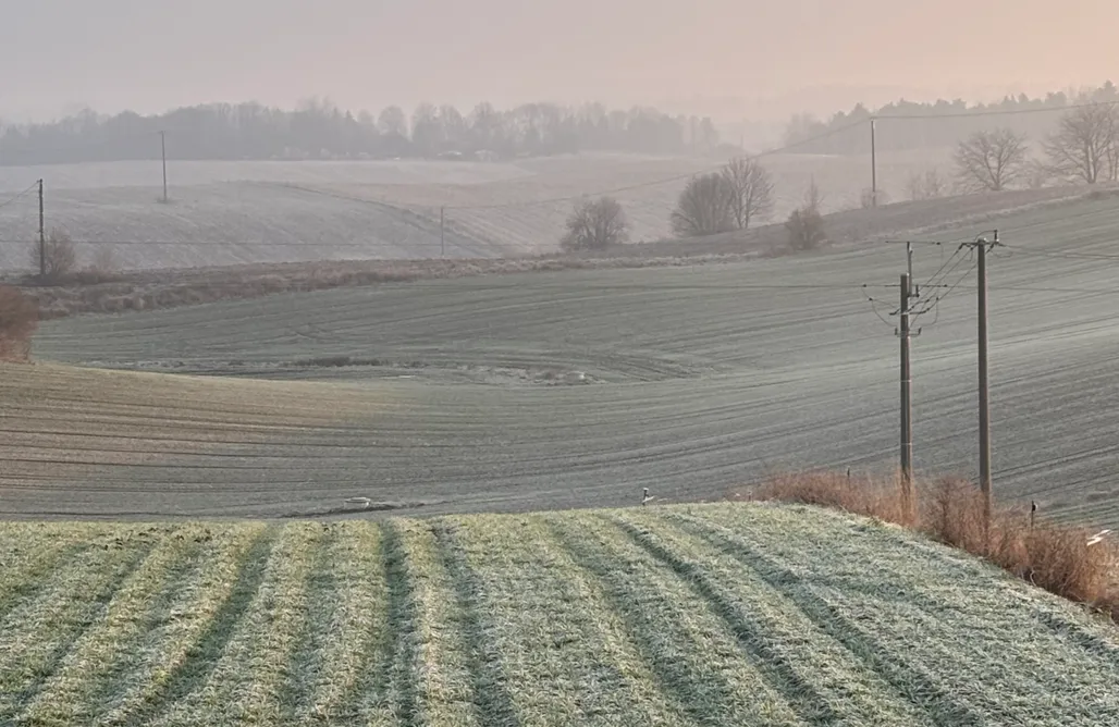 AlohaCamp accommodation Jurtowe Wzgórze Glamping 1