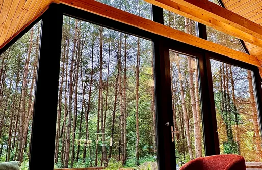 Zdjęcie obiektu Paprotka - dom i las